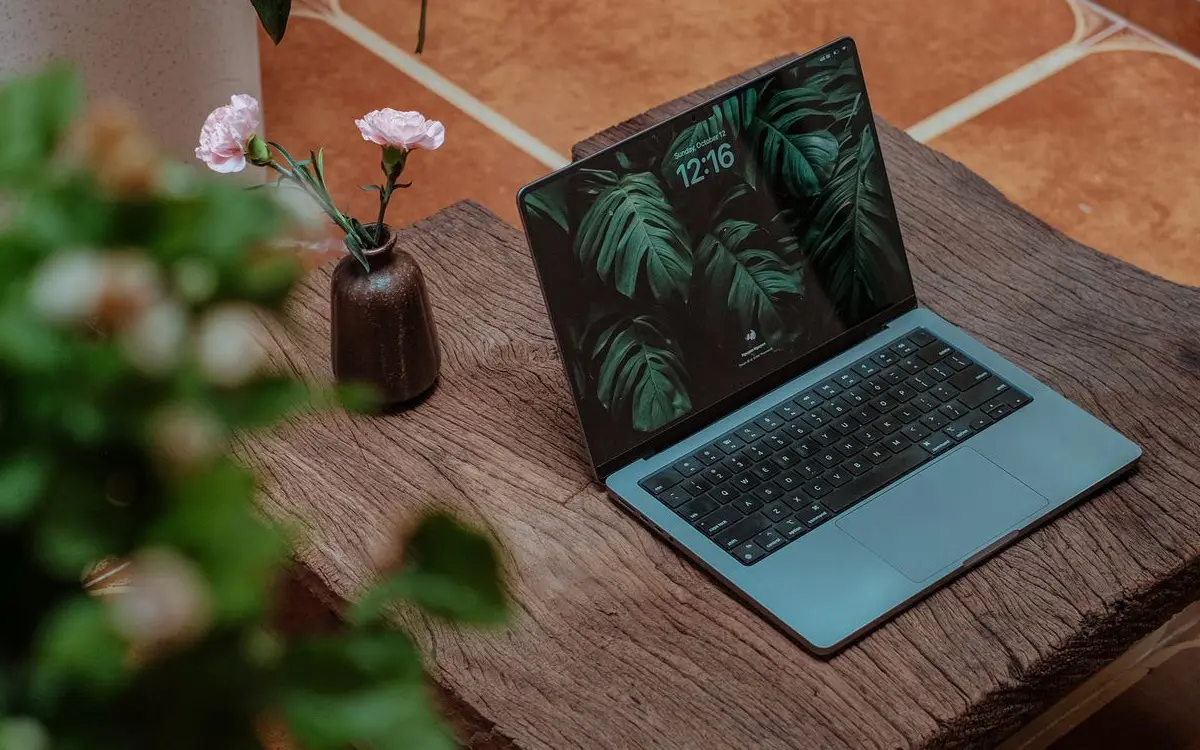 Laptop on rustic table in cozy home setting with plants, pro