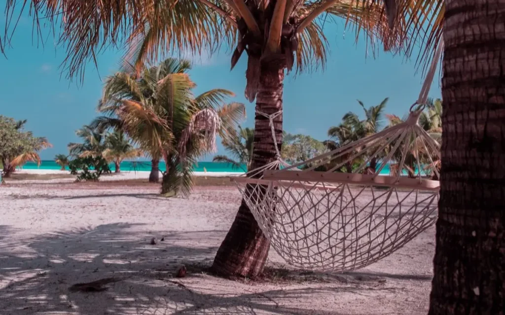 Relaxing tropical beach scene with a hammock under palm tree