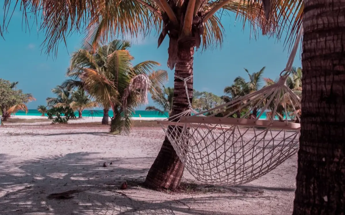 Relaxing tropical beach scene with a hammock under palm tree